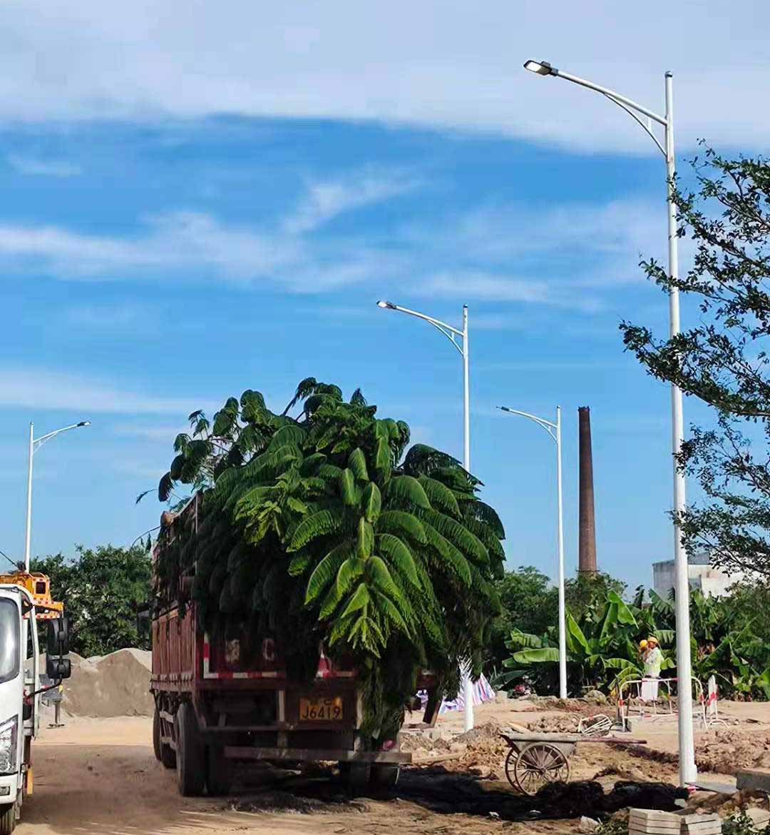 博鱼平台助力东莞洪梅万科星城道路亮化工程